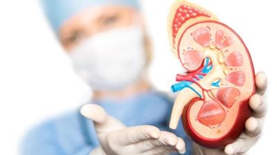 Pune has won the award for the highest number of organ donations in the state for two consecutive years namely, 2020 and 2021, and 1,500 persons and over 54 persons in the Pune region are presently in line to receive kidney, and heart transplants. (REPRESENTATIVE PHOTO) Pune has won the award for the highest number of organ donations in the state for two consecutive years namely, 2020 and 2021, and 1,500 persons and over 54 persons in the Pune region are presently in line to receive kidney, and heart transplants. (REPRESENTATIVE PHOTO)