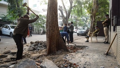 Concrete flooring around tress being removed by SDMC, at Vasant Vihar after the Delhi high court order. (Amal KS/HT Photo) Concrete flooring around tress being removed by SDMC, at Vasant Vihar after the Delhi high court order. (Amal KS/HT Photo)