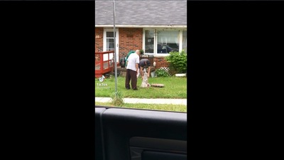 The image shows a man helping another. (TikTok/@sassy_le2)