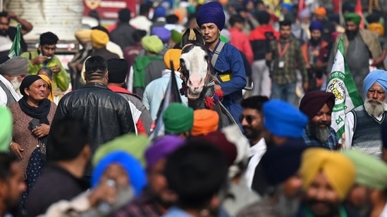 A Nihang Sikh warrior rides a horse as farmers march on the occasion of the first anniversary of the farmers' protests against the central government's agricultural reform laws at the Delhi-Haryana state border in Singhu on November 26.(AFP)