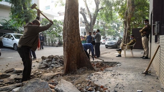 Concrete flooring around tress being removed by SDMC, at Vasant Vihar after the Delhi high court order. (Amal KS/HT Photo)