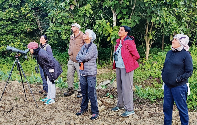 The first black dot in the sky showed up at 4.15 pm, as our guide Sriharsha HK had predicted. Then came a second falcon, and a tenth. In minutes, the sky was darkened by hundreds of thousands of Amur falcons, swooping towards the row of teak trees in which they would roost. (Sandesh Kadur / Felis Images) The first black dot in the sky showed up at 4.15 pm, as our guide Sriharsha HK had predicted. Then came a second falcon, and a tenth. In minutes, the sky was darkened by hundreds of thousands of Amur falcons, swooping towards the row of teak trees in which they would roost. (Sandesh Kadur / Felis Images)