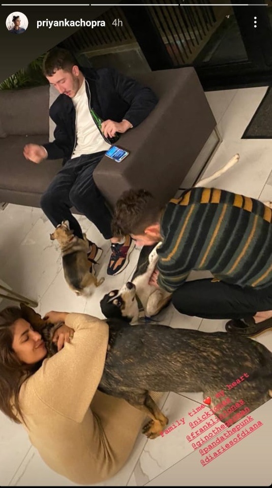 Priyanka Chopra shared a picture on Instagram Stories. Priyanka Chopra shared a picture on Instagram Stories.