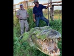 The ‘monster' saltwater crocodile named Tripod. (instagram/jaysprehistoricpets) The ‘monster' saltwater crocodile named Tripod. (instagram/jaysprehistoricpets)
