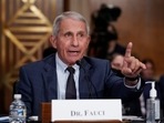 United States' top infectious disease expert Dr Anthony Fauci.(AP) United States' top infectious disease expert Dr Anthony Fauci.(AP)