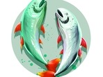 Pisces, to you, your freedom means the most! Pisces, to you, your freedom means the most!