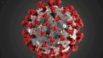 Coronavirus has been mutating since its emergence nearly two years ago. (Representative Photo/Reuters) Coronavirus has been mutating since its emergence nearly two years ago. (Representative Photo/Reuters)