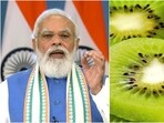 Prime Minister Narendra Modi said the fruit is a “must have” in homes