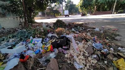 AN EYESORE: Garbage seen accumulating on the roadside in Sector 33, which falls in ward 22 of Chandigarh. (KESHAV SINGH/HT) AN EYESORE: Garbage seen accumulating on the roadside in Sector 33, which falls in ward 22 of Chandigarh. (KESHAV SINGH/HT)