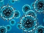 “Other studies will tell us if this adaptation is neutral, less dangerous or more dangerous,” researchers said.(Source: WHO | Representational Image) “Other studies will tell us if this adaptation is neutral, less dangerous or more dangerous,” researchers said.(Source: WHO | Representational Image)