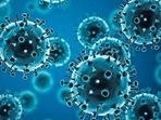 Governments around the world are banning travelers from South Africa and nearby countries amid fears the new “variant of concern” could evade vaccines, exacerbate Covid surges and frustrate efforts to reopen economies.(Source: WHO | Representational image) Governments around the world are banning travelers from South Africa and nearby countries amid fears the new “variant of concern” could evade vaccines, exacerbate Covid surges and frustrate efforts to reopen economies.(Source: WHO | Representational image)