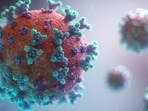 The UN health agency chief, however, emphasized that the 194-member World Health Assembly needs to ensure that the groundwork is laid for an accord that can prevent future pandemics.(Unsplash / Representational Image) The UN health agency chief, however, emphasized that the 194-member World Health Assembly needs to ensure that the groundwork is laid for an accord that can prevent future pandemics.(Unsplash / Representational Image)