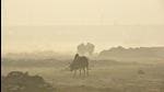 Almost all of north India, which is what the satellite captures, has seen a significant increase in absolute pollution levels in the last decade (Sunil Ghosh / Hindustan Times) Almost all of north India, which is what the satellite captures, has seen a significant increase in absolute pollution levels in the last decade (Sunil Ghosh / Hindustan Times)