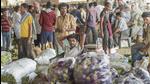 Agriculture needed a new deal before the farm laws were passed (PTI) Agriculture needed a new deal before the farm laws were passed (PTI)