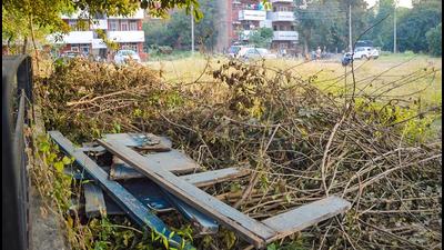 Ward 23: Overgrown grass on a vacant plot, which has also turned into a garbage dump, near the Markfed building in Sector 35, Chandigarh. (Gurtej Singh/HT) Ward 23: Overgrown grass on a vacant plot, which has also turned into a garbage dump, near the Markfed building in Sector 35, Chandigarh. (Gurtej Singh/HT)