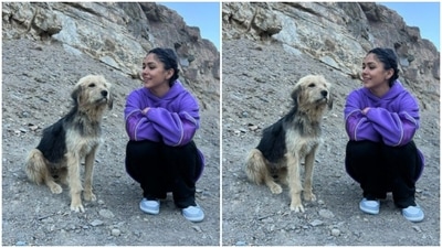 Mrunal and a mountain doggo had a moment. (Instagram/@mrunalthakur)