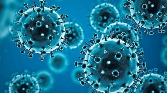 “Other studies will tell us if this adaptation is neutral, less dangerous or more dangerous,” researchers said.(Source: WHO | Representational Image) “Other studies will tell us if this adaptation is neutral, less dangerous or more dangerous,” researchers said.(Source: WHO | Representational Image)