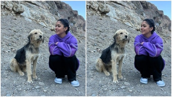Mrunal and a mountain doggo had a moment.(Instagram/@mrunalthakur)