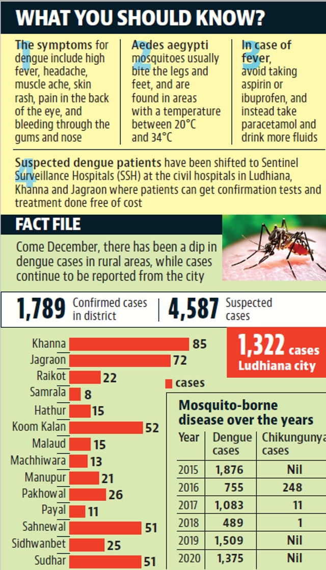 The Ludhiana health department has said that though a fall in the mercury has led to a dip in the number of dengue cases, it has urged residents not to lower their guard and follow the guidelines issued by them. (HT PHOTO) The Ludhiana health department has said that though a fall in the mercury has led to a dip in the number of dengue cases, it has urged residents not to lower their guard and follow the guidelines issued by them. (HT PHOTO)
