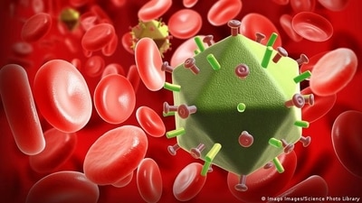 40 years of HIV/AIDS: The progression of a pandemic (Imago Images/Science Photo Library) 40 years of HIV/AIDS: The progression of a pandemic (Imago Images/Science Photo Library)