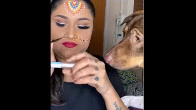The dog is seen ‘learning’ how to wear false eyelashes.&nbsp; (instagram/@mukulrichards_makeupartist)