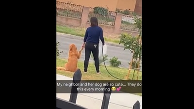 The dog and its human holding hands as the human waters her lawn. (instagram/@nextdoor) The dog and its human holding hands as the human waters her lawn. (instagram/@nextdoor)
