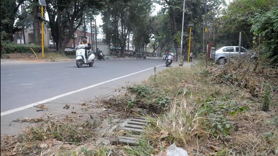 The residents also complain of irregular garbage collection, especially from second and third floors, and poor sanitation in general in Ward 25 of Chandigarh MC. (Ravi Kumar/HT)