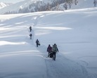 A total of 1,27,605 tourists visited Kashmir in November this year which is more than all the figures in the month in the past seven years, according to the Jammu and Kashmir government officials. The officials are planning to organise various festivals for the Winter season in the mountain Union Territory.(Pexels) A total of 1,27,605 tourists visited Kashmir in November this year which is more than all the figures in the month in the past seven years, according to the Jammu and Kashmir government officials. The officials are planning to organise various festivals for the Winter season in the mountain Union Territory.(Pexels)