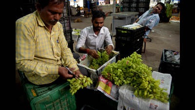 The damage to fruits due to unseasonal rains keeps farmers, APMC traders worrying. (BACHCHAN KUMAR/HT PHOTO) The damage to fruits due to unseasonal rains keeps farmers, APMC traders worrying. (BACHCHAN KUMAR/HT PHOTO)