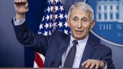 Anthony Fauci, during a news conference, at the White House in Washington, (Bloomberg)