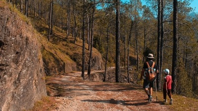 Hiking games: You can create your own fun games as you walk. This will not only distract them from getting tired but also keep them entertained for a long time. (Pexels)