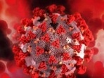 Much remains unknown about the new variant, including whether it is more contagious, as some health authorities suspect, or if it makes people more seriously ill, and whether it can thwart the vaccine. (HT FILE)