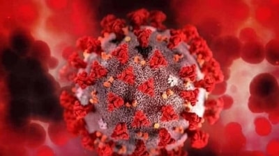 Much remains unknown about the new variant, including whether it is more contagious, as some health authorities suspect, or if it makes people more seriously ill, and whether it can thwart the vaccine. (HT FILE) Much remains unknown about the new variant, including whether it is more contagious, as some health authorities suspect, or if it makes people more seriously ill, and whether it can thwart the vaccine. (HT FILE)
