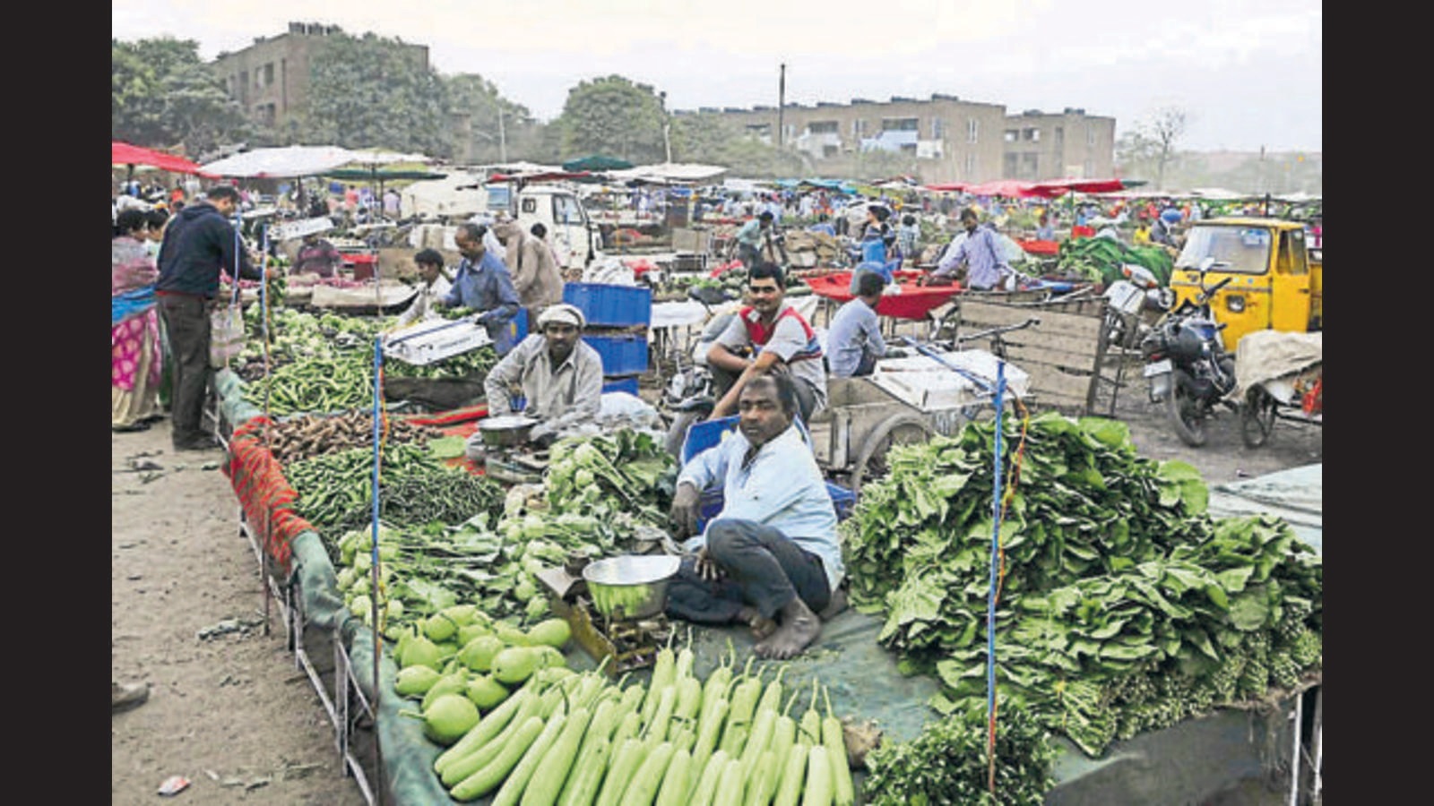 Chandigarh Vegetable prices dip at apni mandis as supply improves Hindustan Times