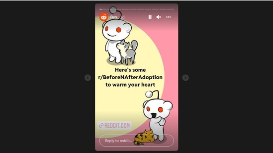 The image shows a slide posted by Reddit on Instagram about before vs after images of cats and dogs.(Instagram/@reddit)