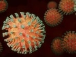 Researchers have developed a test to quickly assess how well a person's antibodies fight multiple variants of COVID-19. (HT File Photo)
