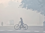 A cyclist crosses a road in Azadpur, New Delhi. (Sanchit Khanna / HT Photo) A cyclist crosses a road in Azadpur, New Delhi. (Sanchit Khanna / HT Photo)