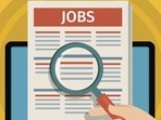 DRDO DEAL, Dehradun invites applications for apprenticeship (Getty Images/iStockphoto (PIC FOR REPRESENTATION)) DRDO DEAL, Dehradun invites applications for apprenticeship (Getty Images/iStockphoto (PIC FOR REPRESENTATION))