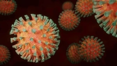 Researchers have developed a test to quickly assess how well a person's antibodies fight multiple variants of COVID-19. (HT File Photo) Researchers have developed a test to quickly assess how well a person's antibodies fight multiple variants of COVID-19. (HT File Photo)