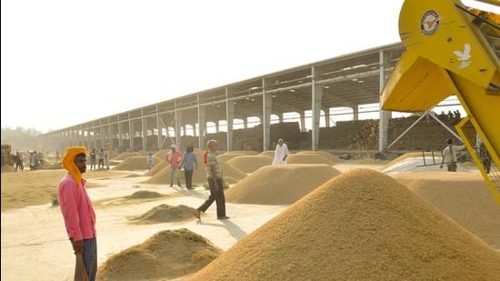 The Punjab government was caught off guard when the Centre restricted paddy procurement from the state to 168 lakh tonne. (HT File Photo) The Punjab government was caught off guard when the Centre restricted paddy procurement from the state to 168 lakh tonne. (HT File Photo)