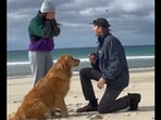 Sonny the Golden Retriever, seconds before ‘getting the zoomies’ as its human proposes to his girlfriend. (instagram/@goodnewsdog)