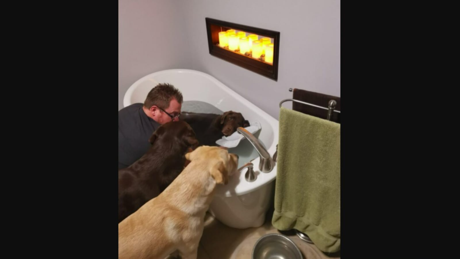How To Give An Old Dog A Bath