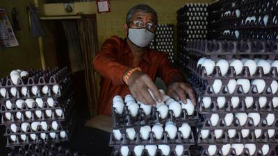 The price of eggs is also on the higher side due to the same reason. Against  ₹4.5 an egg in November, the rates have shot up to  ₹5.5 per egg at the Sector 21 market in Chandigarh. (HT PHOTO)