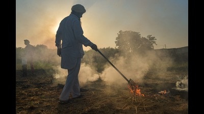 As per the Haryana Space Application Centre’s data of rice residue burning events, the state had reported 6,987 incidents of farm fires during this harvesting season. (PTI)