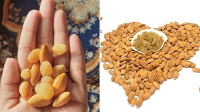 Having almonds and raisins together keeps you full and makes you feel energetic throughout the day. (Instagram/Dr Dixa Bhavsar, Pixabay) Having almonds and raisins together keeps you full and makes you feel energetic throughout the day. (Instagram/Dr Dixa Bhavsar, Pixabay)