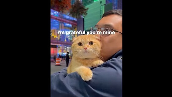 Happy Happy Happy Cat Meme Song: Here's Everything You Need To Know About  the Viral Meme