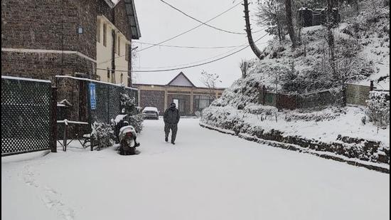 Fresh snowfall at Narkanda near Shimla on Monday. The remote Dodra Kwar in Shimla district got 1-ft snowfall, Chopal 2-3 inches and Kufri, Narkanda, Rohru and Khara Pathar experienced light snowfall (ANI)