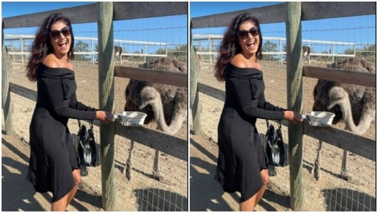 "My 1st time feeding an ostrich," wrote Pooja in the caption.(Instagram/@poojabatra)
