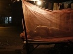 In total over 627,000 people globally were killed by malaria last year (Representational Image / AP) In total over 627,000 people globally were killed by malaria last year (Representational Image / AP)