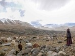 In a written reply to the question, Pramanik said, "128 infiltrations reported along Pakistan border, 1787 along Bangladesh border, 25 along Nepal border, 133 along Myanmar border while nil at China and Bhutan border." In a written reply to the question, Pramanik said, "128 infiltrations reported along Pakistan border, 1787 along Bangladesh border, 25 along Nepal border, 133 along Myanmar border while nil at China and Bhutan border."